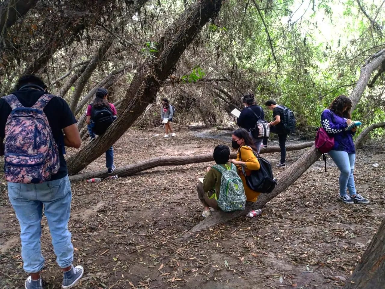 Actividades sociales